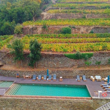 Quinta De Travassinhos- Douro Valley & Spa Santa Marta de Penaguião Extérieur photo