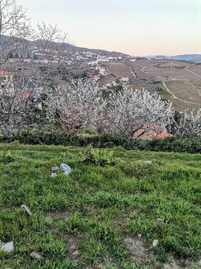 Quinta De Travassinhos- Douro Valley & Spa Santa Marta de Penaguião Extérieur photo