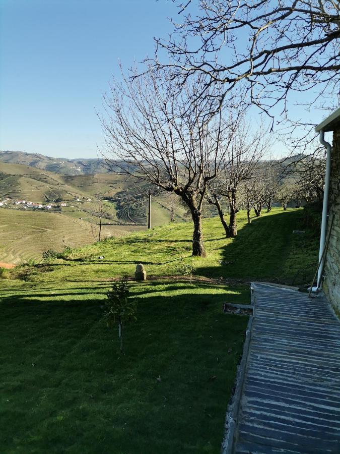 Quinta De Travassinhos- Douro Valley & Spa Santa Marta de Penaguião Extérieur photo