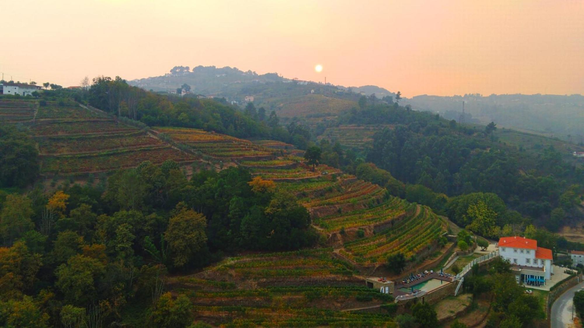 Quinta De Travassinhos- Douro Valley & Spa Santa Marta de Penaguião Extérieur photo