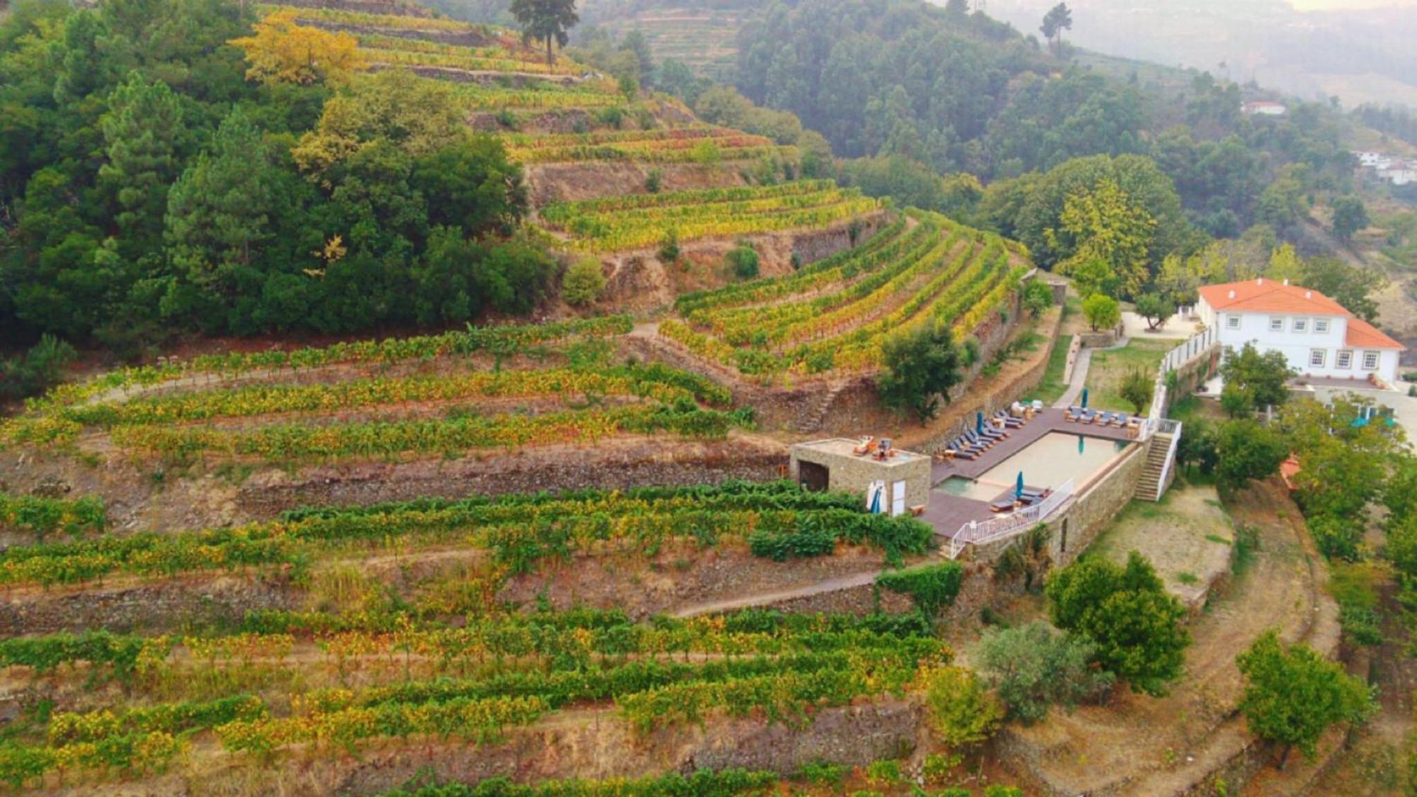 Quinta De Travassinhos- Douro Valley & Spa Santa Marta de Penaguião Extérieur photo